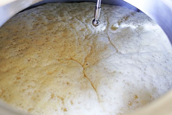Fermenting-Process-Yeast-Brew-