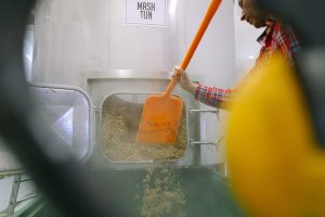 using a plastic spade to scoop out the spent grain from the mash tun