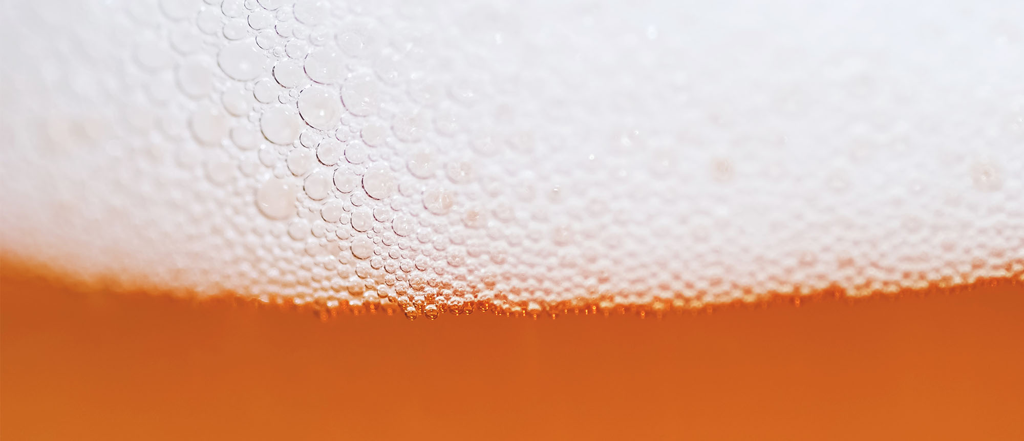 Improve the quality of the beer you are serving