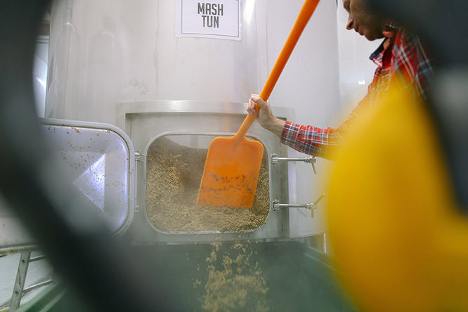 using a plastic spade to scoop out the spent grain from the mash tun