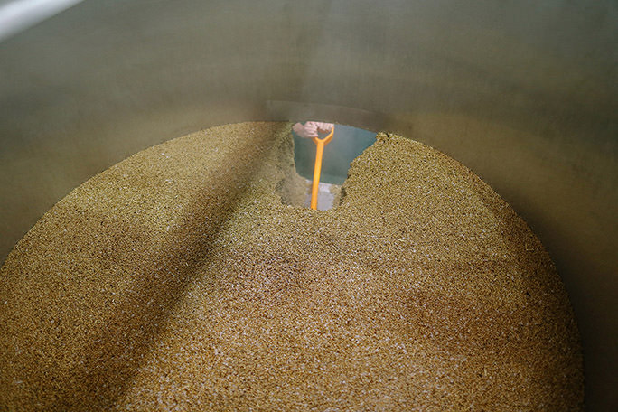 looking down inside a mash tun with spent grain inside